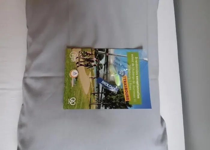 Hi 2 Rives * Straßburg